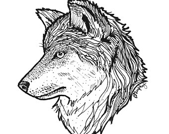 340x270 grey wolf drawing etsy - Grey Wolf Drawing