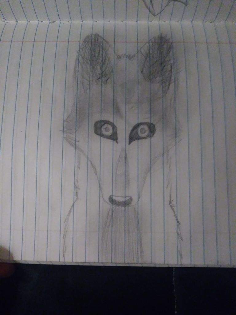 768x1024 grey wolf drawing furry amino - Grey Wolf Drawing