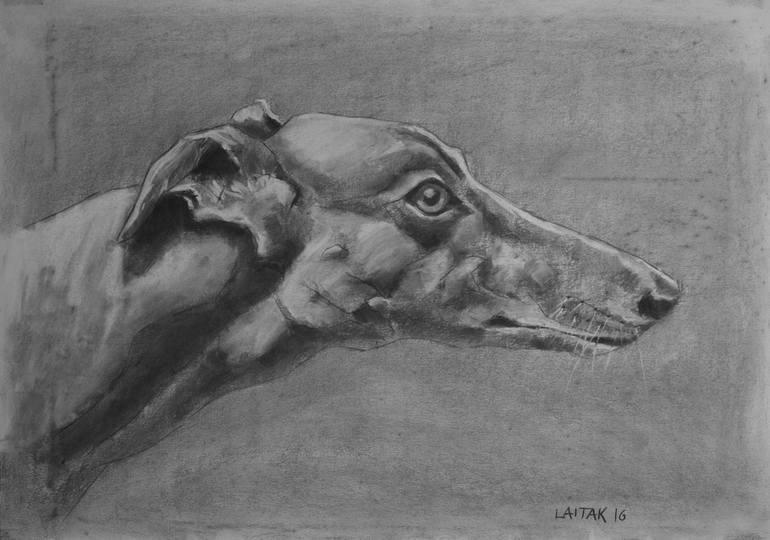 770x540 Greyhound Drawing - Greyhound Drawing