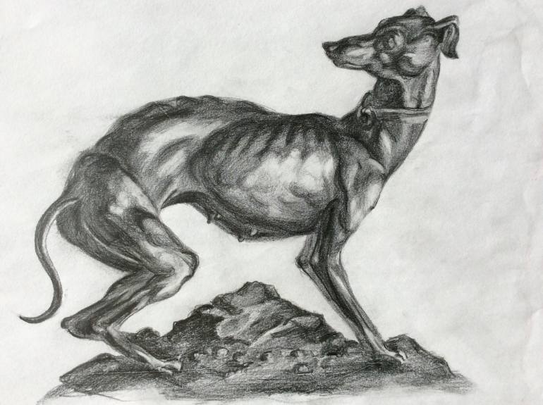770x575 Greyhound Drawing - Greyhound Drawing