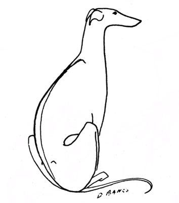 354x400 Greyhound Line Drawing - Greyhound Drawing