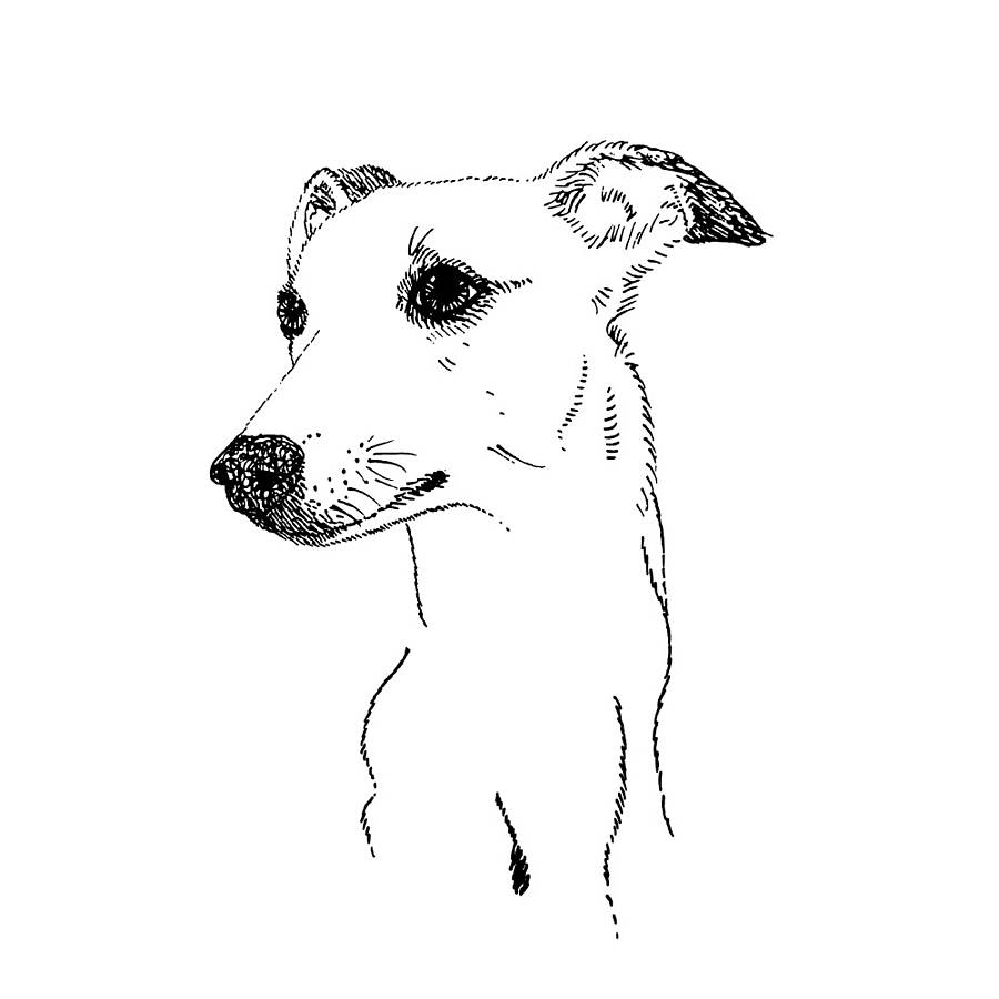 900x900 Italian Greyhound Print - Greyhound Drawing
