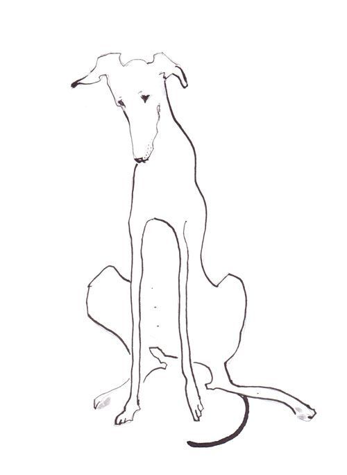 500x684 greyhound ets doggy dog world teckningar, illustration, konst - Greyhound Line Drawing