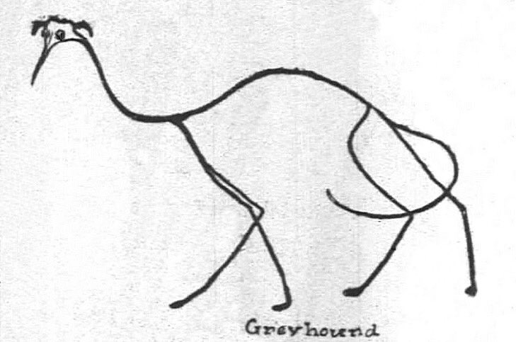 729x483 kaz on twitter this drawing of a greyhound - Greyhound Line Drawing