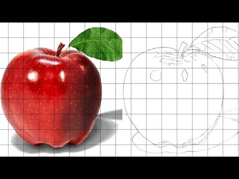 480x360 Grid Drawing Tool - Grid Drawing