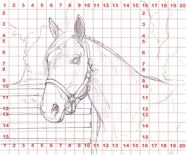 600x500 How To Draw A Horse Using A Grid - Grid Drawing