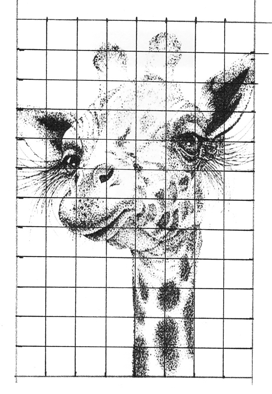 Grid Drawing At PaintingValley Explore Collection Of Grid Drawing