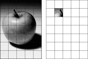 300x201 using a grid to enlarge and transfer an image to canvas teresa - Grid Drawing
