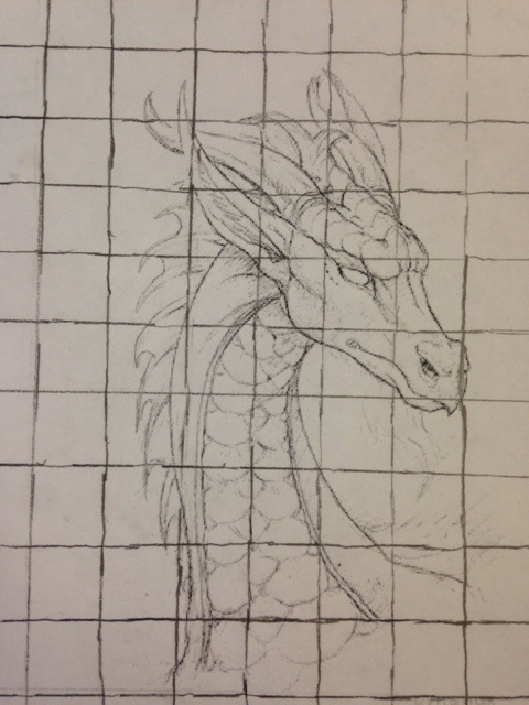 480x640 Grid Drawing - Grid Drawing