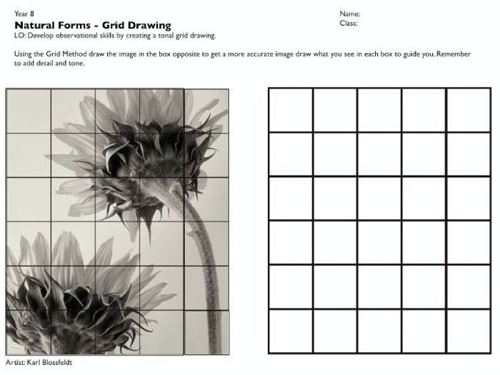 Grid Drawing Worksheets For High School At PaintingValley Explore