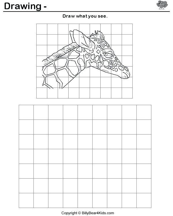 grid-drawing-worksheets-for-high-school-at-paintingvalley-explore