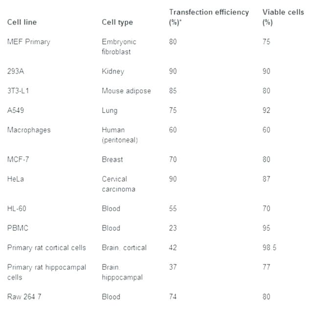 650x671 grid drawing worksheets for middle school - Grid Drawing Worksheets For High School