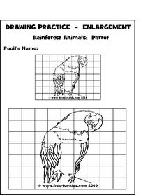 235x279 best grid enlargement images drawing lessons, school, art - Grid Drawing Worksheets Pdf