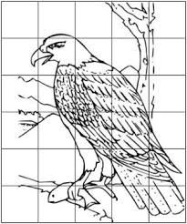 205x246 image result for drawings with grid lines draw using grids - Grid Lines For Drawing