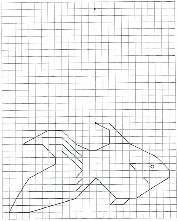 draw on graph paper online