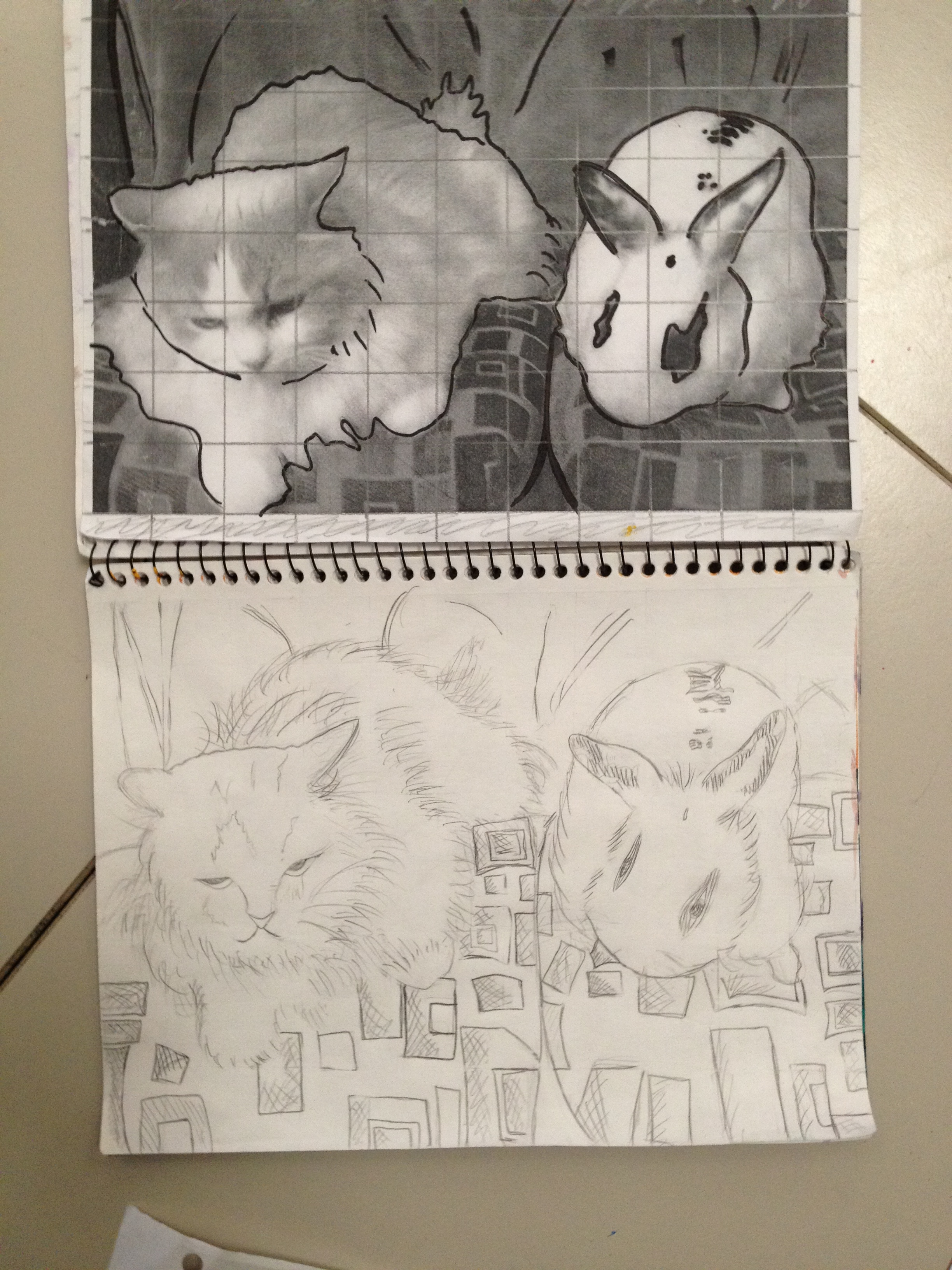 2448x3264 Contour Drawing From A Photo Using The Grid System And Then My - Grid System Drawing