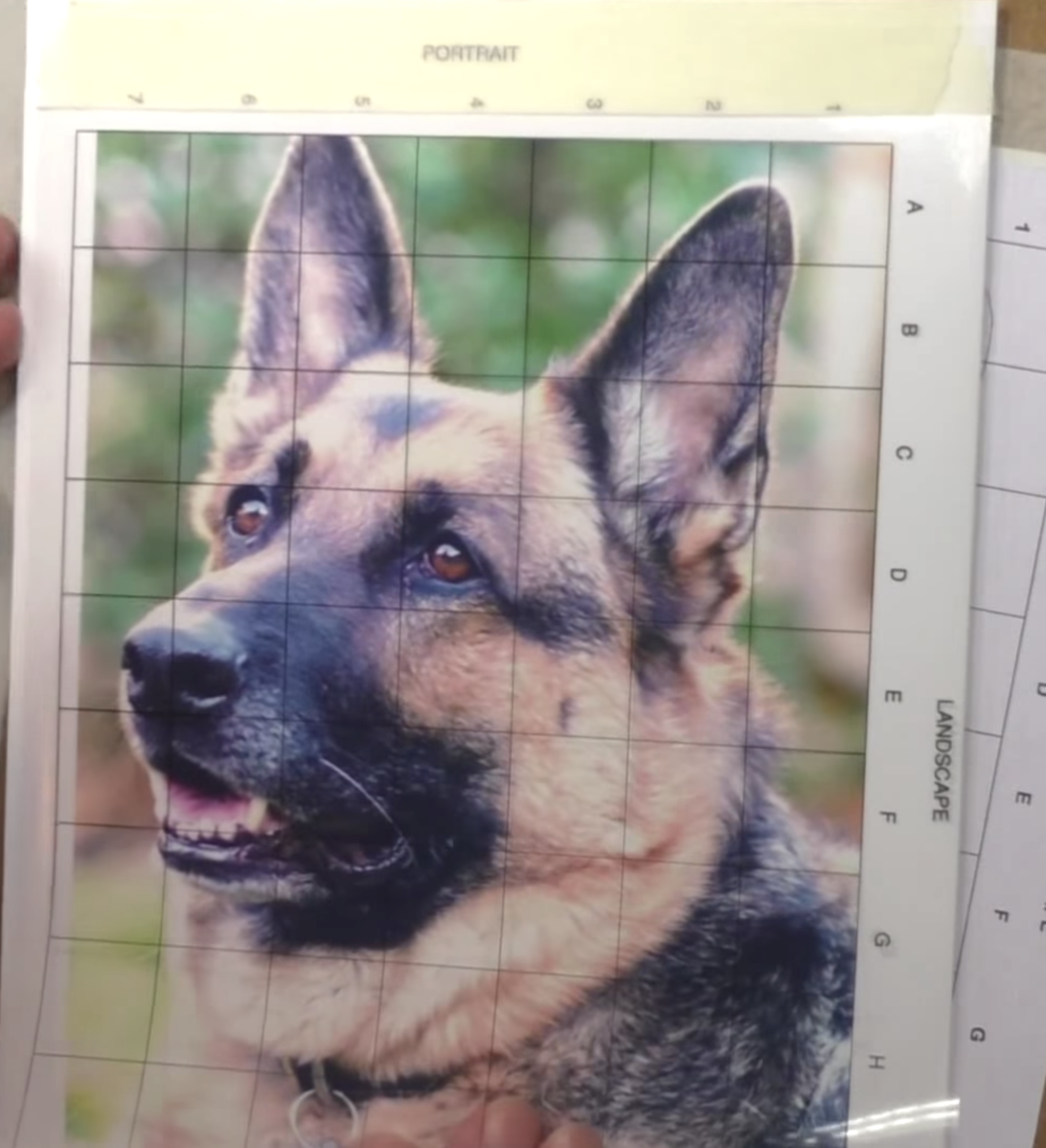 2600x2854 Draw Your Own Pet With This Easy Grid System Teach Art - Grid System Drawing