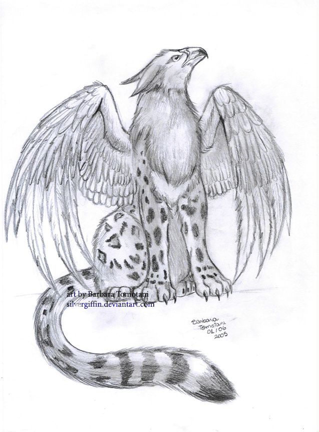 637x862 griffin drawings more from silvergriffin wowow - Griffin Drawing