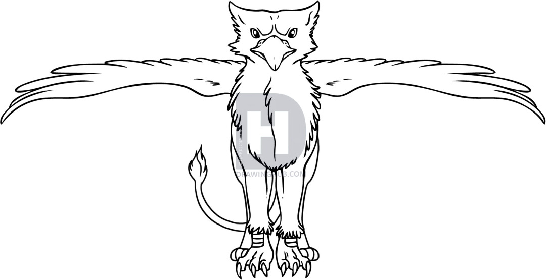 1080x555 how to draw a cartoon griffin, step - Griffin Drawing
