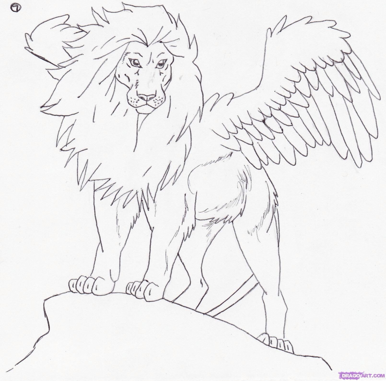 1610x1588 how to draw a realistic lion easy griffin drawing art - Griffin Drawing