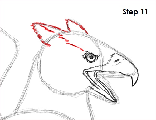 500x386 How To Draw A Griffin - Griffin Drawing