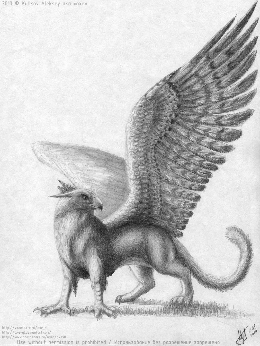 1069x1425 mythical griffin drawings griffin - Griffin Drawing