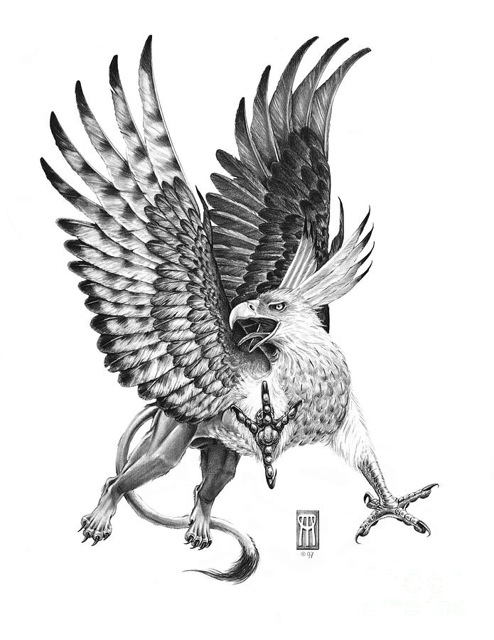 695x900 Whitehead Griffin Drawing - Griffin Drawing