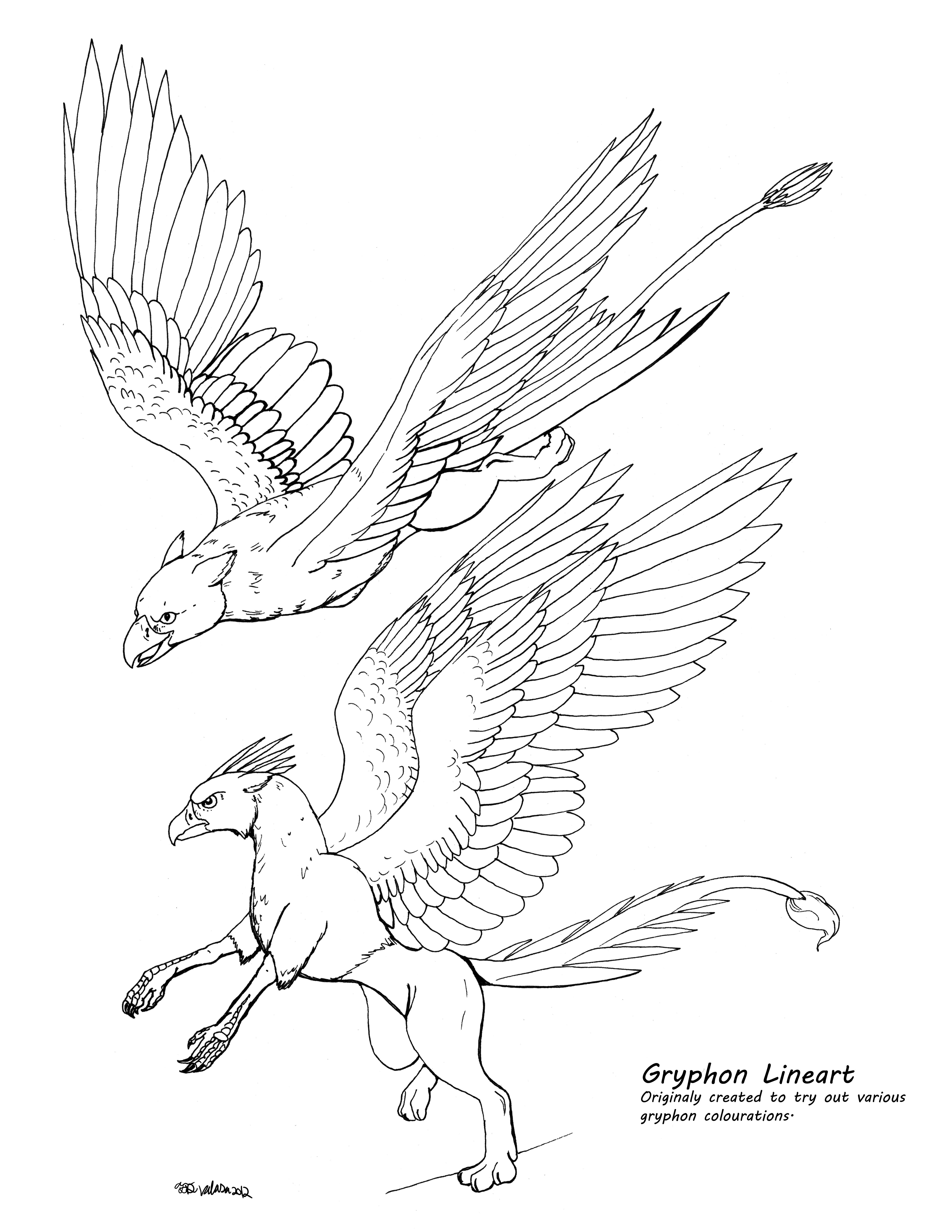 5100x6600 drawing a gryphon - Griffin Drawing