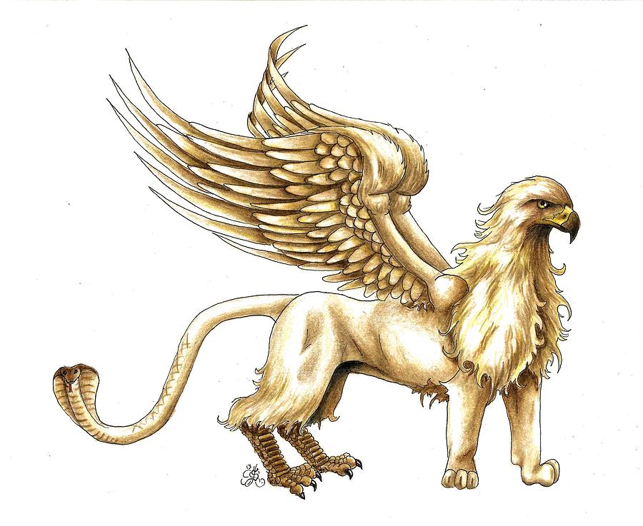900x737 griffin drawing - Griffin Drawing