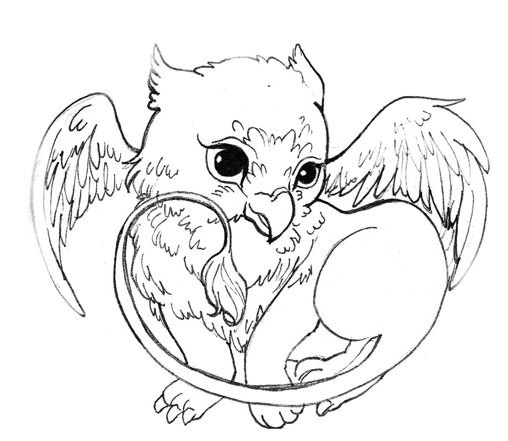1024x889 Drawn Griffon Griffen - Griffon Drawing