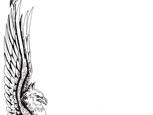 640x480 Free Drawn Griffon, Download Free Clip Art - Griffon Drawing