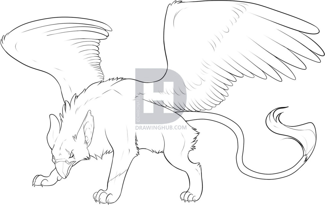 1080x681 How To Draw A Griffon, Step - Griffon Drawing