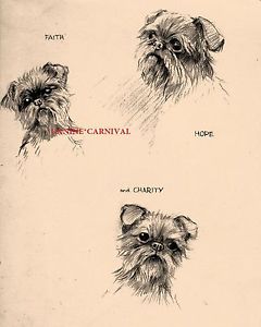 240x300 Vintage Griffon Bruxellois Original Dog Drawing Kf Barker - Griffon Drawing