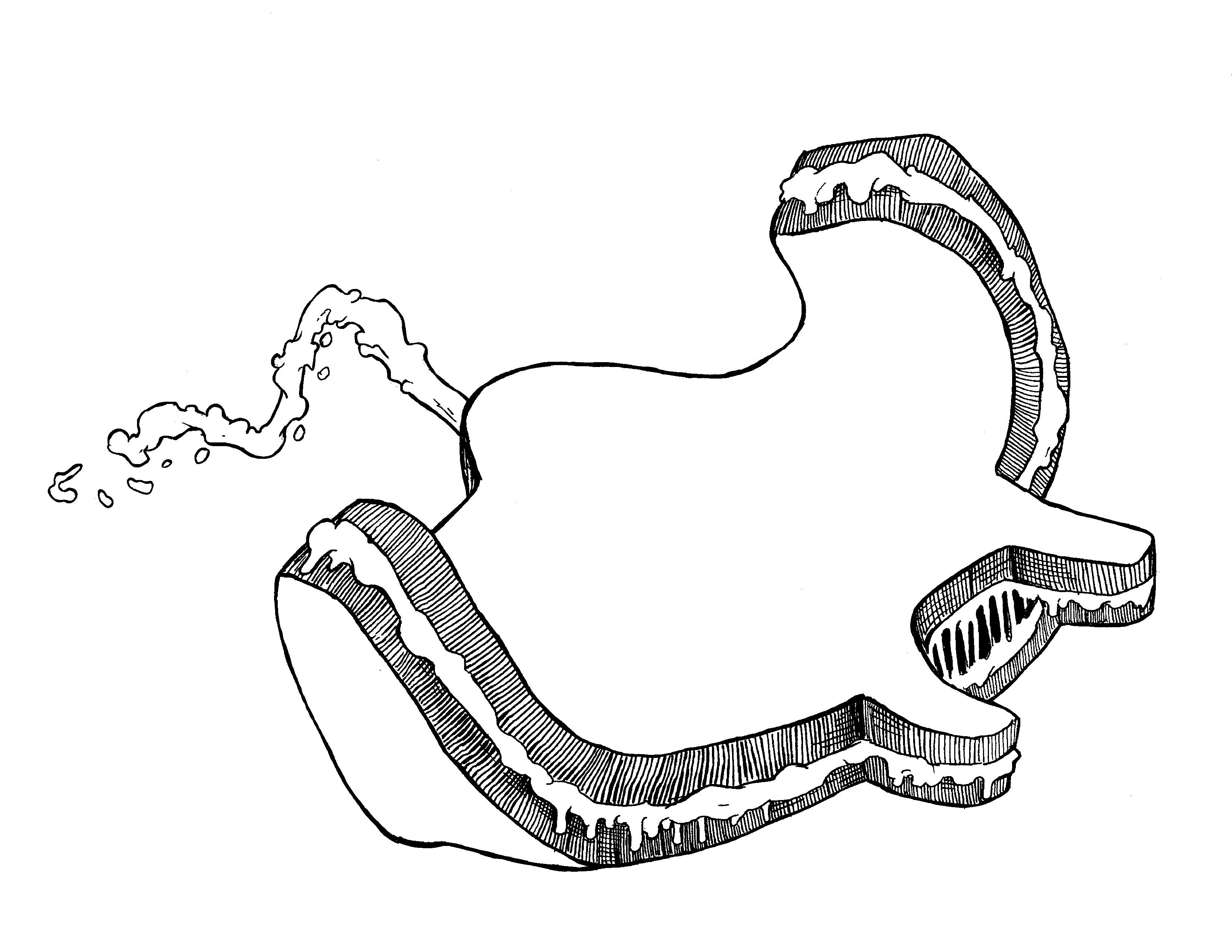 3300x2550 Grilled Cheese Manta Ray Ink Drawing Drawing - Grilled Cheese Drawing