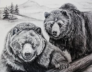 300x234 grizzly bear drawings fine art america - Grizzly Bear Drawing