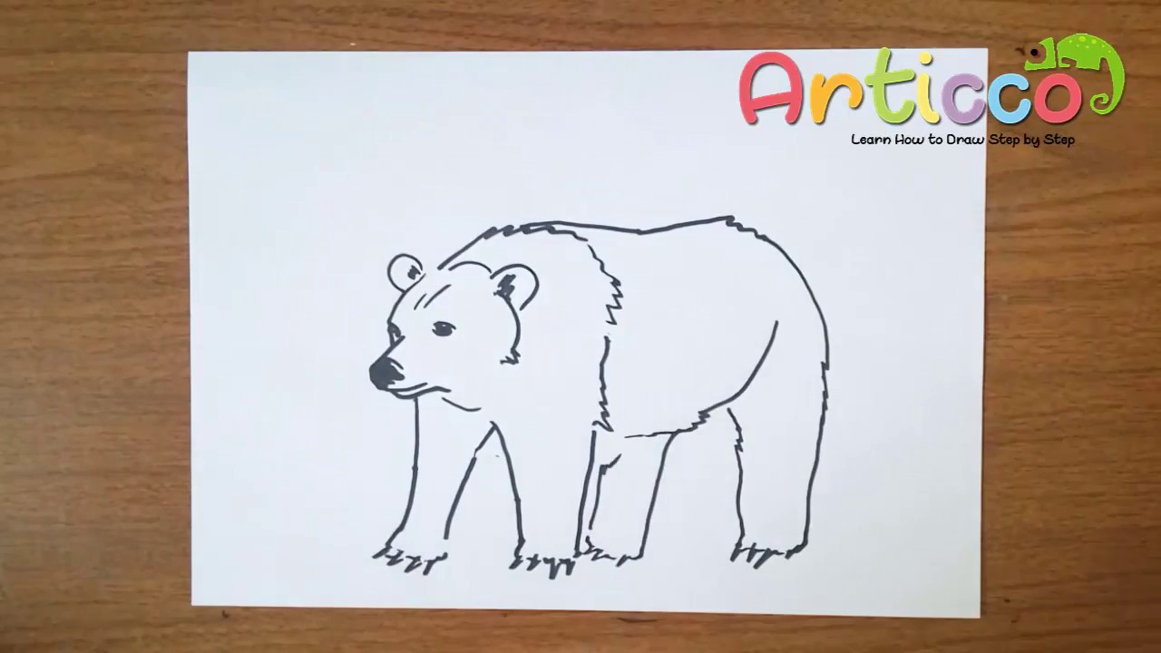 1280x720 how to draw grizzly bear step - Grizzly Bear Drawing