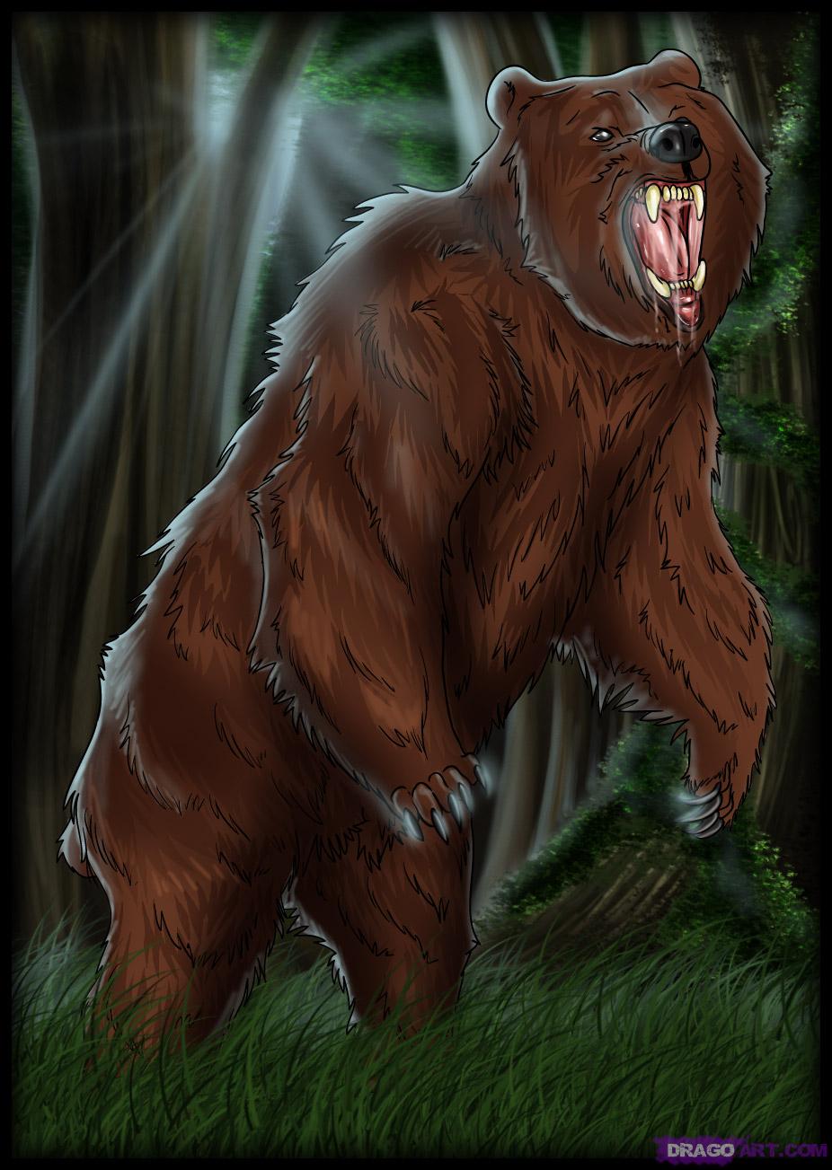 926x1303 How To Draw A Grizzly Bear, Step - Grizzly Bear Drawing Standing