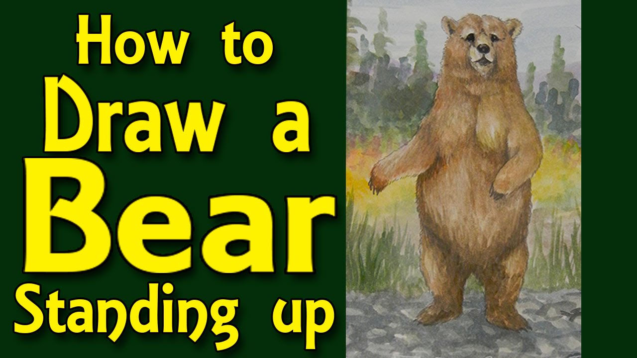 1280x720 How To Draw A Bear Standing - Grizzly Bear Drawing Standing