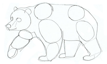 450x272 How To Draw A Bear - Grizzly Bear Drawing Step By Step