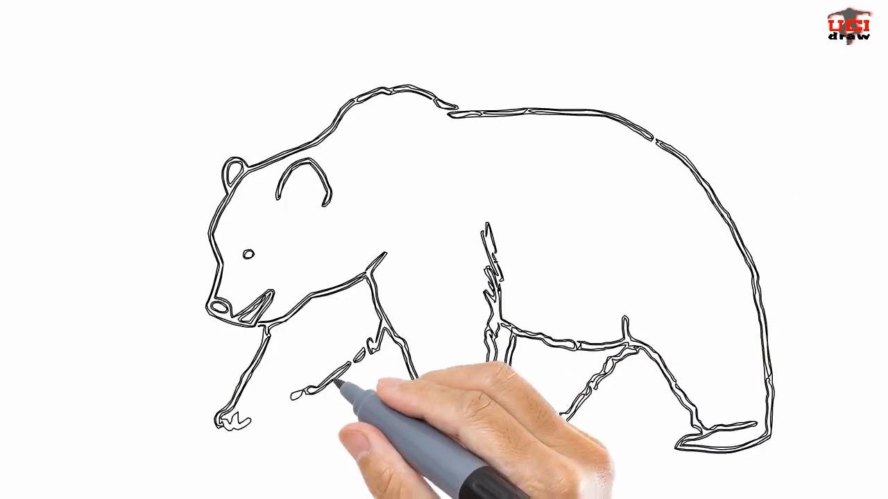 1280x720 How To Draw A Bear Step - Grizzly Bear Drawing Step By Step
