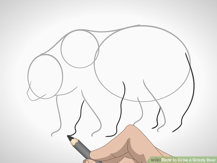 728x546 how to draw a grizzly bear - Grizzly Bear Drawing Step By Step