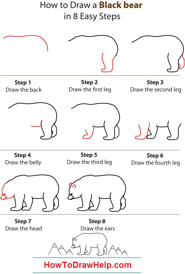 600x888 How To Draw A Black Bear Step - Grizzly Bear Drawing Step By Step