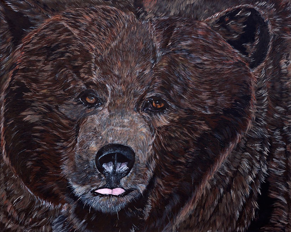 Grizzly Bear Pencil Drawing at Explore collection