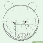 150x150 Grizzly Bear Drawing Standing At Getdrawings Free For Personal How - Grizzly Bear Face Drawing