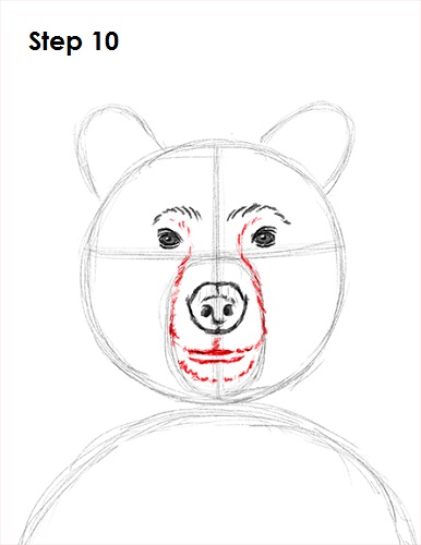386x500 How To Draw A Grizzly Bear - Grizzly Bear Face Drawing