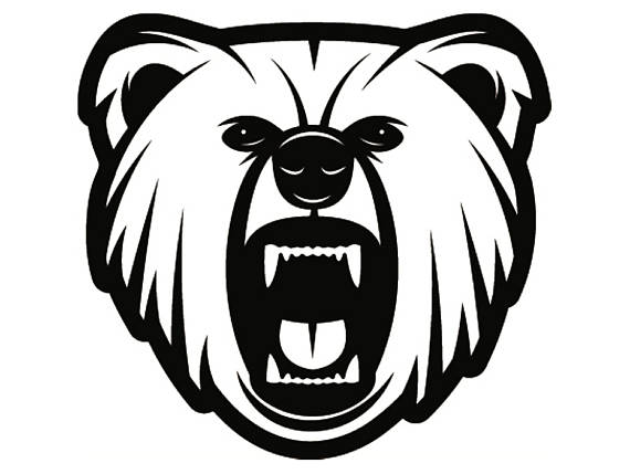 570x429 Huge Collection Of 'grizzly Bear Face Drawing' Download More Than - Grizzly Bear Face Drawing