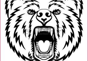 300x210 bear drawing beautiful grizzly bear drawing drawings - Grizzly Bear Face Drawing