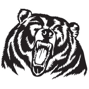 304x304 Amiart Grizzly Bear Decal Sticker - Grizzly Bear Head Drawing