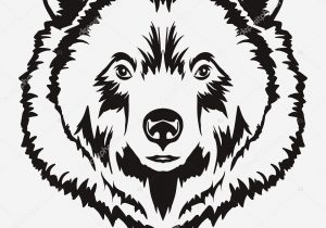 300x210 Bear Head Drawing How To Draw Grizzly Bears, Stepstep, Forest - Grizzly Bear Head Drawing