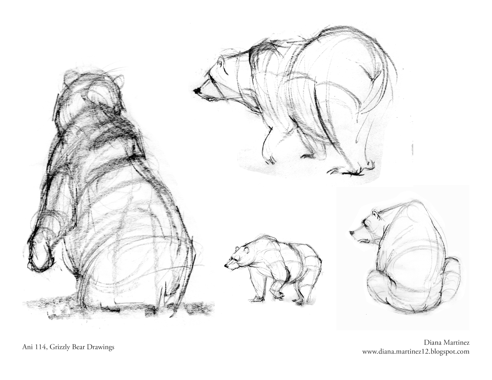 1600x1236 Fox Drawing Reference How To Draw A Grizzly Bear Walking My - Grizzly Bear Line Drawing
